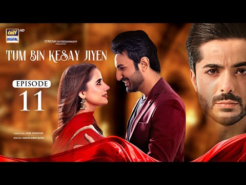 Tum Bin Kesay Jiyen — Episode 11