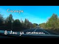 Поехали за грибами и набрали осенних опят ! Самара. Октябрь 2021 года.