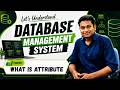 What is Attribute in DBMS | Simple & Composite, Single & Multivalued, Stored & Derived Attributes