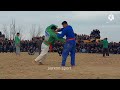 JONKA SAMARQAND ZOXID POLVON BUGUN YANA KURASHDI OLTINSOYDA KATTA KURASH BÓLDI 30.1.2022