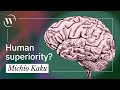How humans evolved to be intelligent  michio kaku