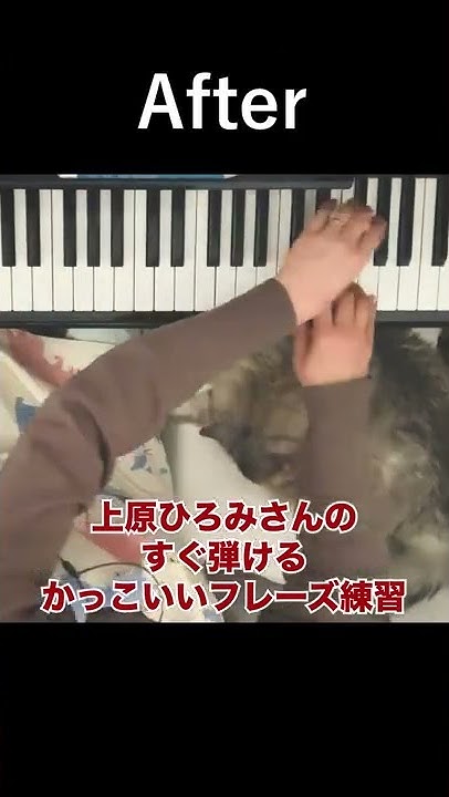 猫とジャズピアノ練習piano Mimi Youtube