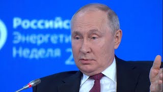 Владимир Путин: Украина наверняка пользуется российским газом