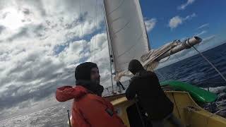 Going sailing (Warning: Cheesy Narration 🧀)