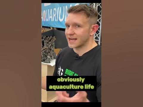 Begin learning #crypto #nfts and #aquarium #culture don't be scared. #