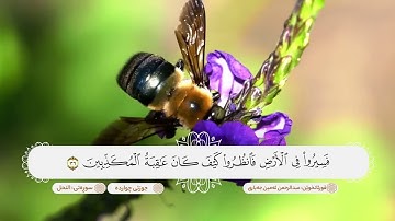 سورة النحل ترتيل هادئ يريح الاعصاب بصوت القارئ عبدالرحمن امين الجباري