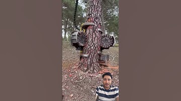 Tree cutting machine #trending #machine #tree #youtubeshorts #shortvideo #shorts #viral #ytshorts