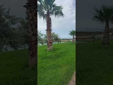 اللهم إني أعوذ بك من جهد البلاء ودرك الشقاء وسوء القضاء وشماتة الأعداء