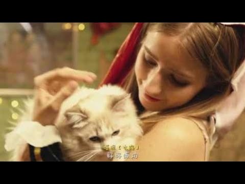 《剑网3》明教正太MV【喵教咖啡屋】