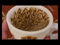 Pisces The Miracle Hidden in Your Struggle Coffee Cup Reading