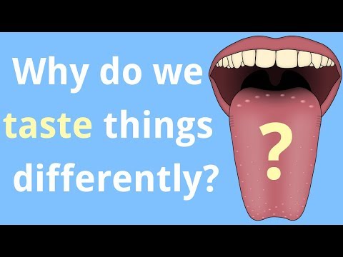 Video: Why Do All People Have Different Tastes?