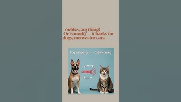 Java OOPs Explained in 60 Seconds! | Quick & Easy for Beginners #java #codingshorts #learnjava