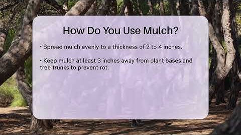 How Do You Use Mulch? - The Plant Enthusiast