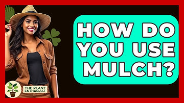 How Do You Use Mulch? - The Plant Enthusiast