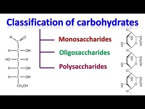 कार्बोहाइड्रेट | कार्बोहाइड्रेट का वर्गीकरण