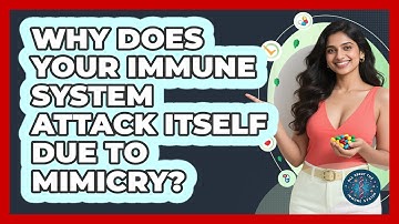 Why Does Your Immune System Attack Itself Due To Mimicry? - All About the Immune System
