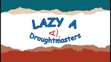 LOT 39 BULLZEYE 2024 - (video 2)