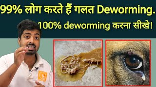 How to do 100% successful deworming in dog?