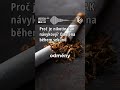 Nejsilnější legální droga? #Shorts