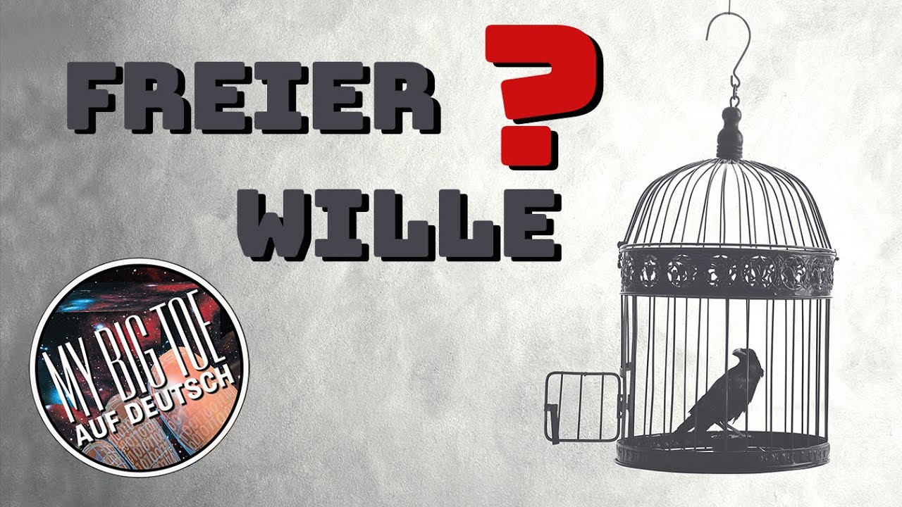 Haben wir überhaupt einen freien Willen? I Tom Campbell YouTube