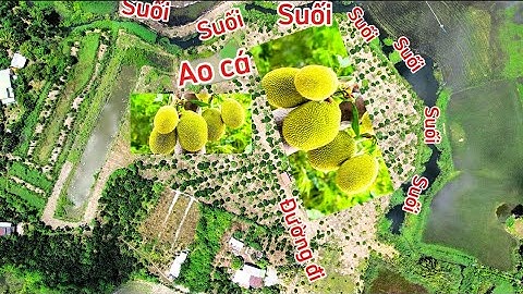 MẢNH NHÀ VƯỜN AO CÁ SUỐI BAO QUANH ĐẤT QUÁ LÀ MÁT MẺ GIÁ RẺ NỮA 300tr 1 SÀO QUÁ LÀ MÊ