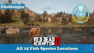 All 15 Species (Survivalist Challange #10) - Red Dead Redemption 2 - YouTube