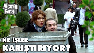 Aslan Ve Mehveş Gizli Takipte - Alemin Kralı 24. Bölüm