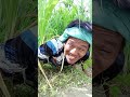 kadakong halo,hahahhahahaha#shortvideo #viralvideo #funny #comedy #memes