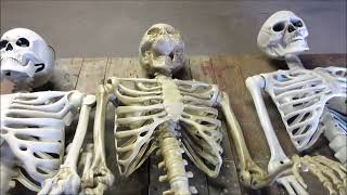 HALLOWEEN SKELETON COMPARISON - 2025 -Walmart-Lowes-DG