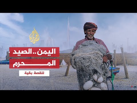 للقصة بقية | الصيد المحرم في اليمن .. بأمر الإمارات