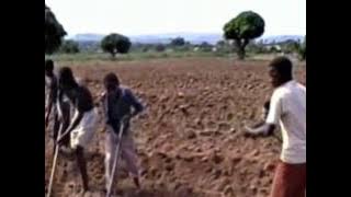 From the Field: Musical Labor Performed in Northwest Tanzania [Live in Northwest Tanzania 1995]
