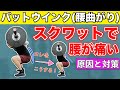 【バットウインク】スクワットでしゃがむと腰が曲がる4つの原因を解説‼