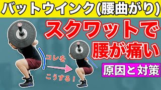 【バットウインク】スクワットでしゃがむと腰が曲がる4つの原因を解説‼