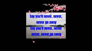 Say You'll Never (lyrics) by Lian Rose