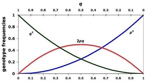 Simple Hardy-Weinberg problem and solution