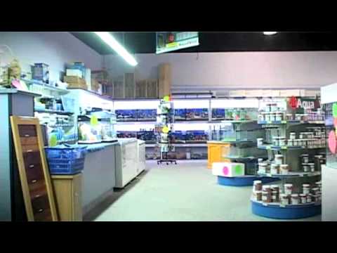 Aquariums Blacktown Strictly Aquariums 