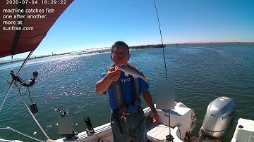 Sunfran Smart Jigger Jigging machine catches fish one after another on Independence Day