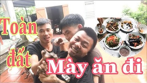 Không tiền cạp đất mà ăn và cái kết gây hoang mang-1991vlog