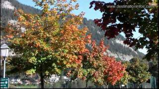 Fuschlsee