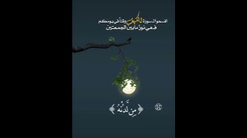 نور مابين الجمعتين سورة الكهف