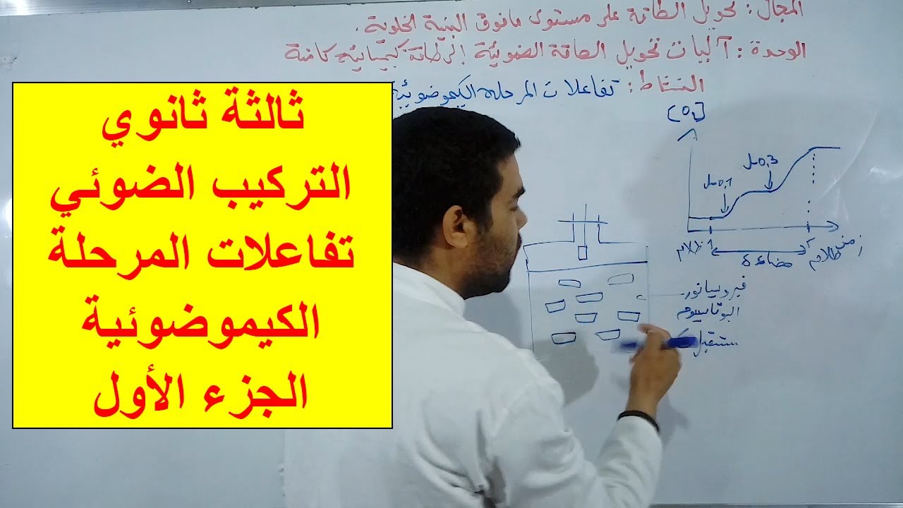 تفاعلات المرحلة الكيموضوئية (الجزء الأول)