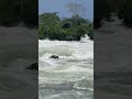 Nile River Rapids Travel Traveling Africa Nile River Rapids Travel Traveling Africa