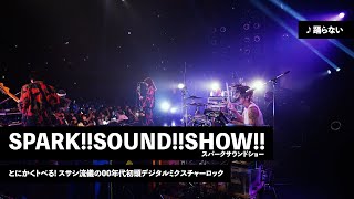 サングラス SPARK!!SOUND!!SHOW!! スサシ 新品 2025年最新】スサシ サングラスの人気アイテム - メルカリ