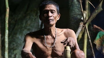 The Last Cavemen" (1 x 52