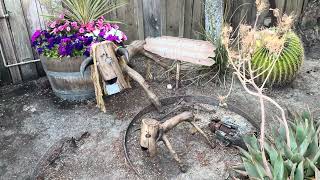 Knotts Berry Farm, a walk thru Ghost Town to Log Ride... May 2026