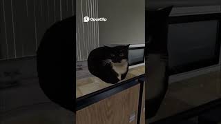 Maxwell Midnight Feast #maxwell #trollface #garrysmode