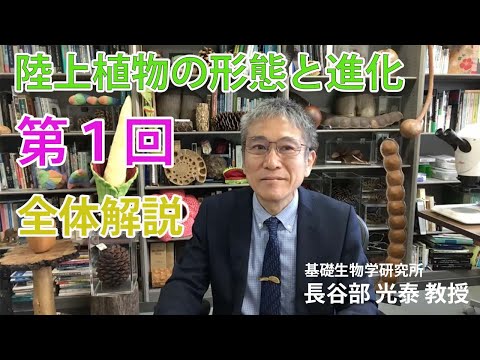 第1回（全体解説）自習用講義動画『陸上植物の形態と進化』（長谷部光泰著・本人映像）