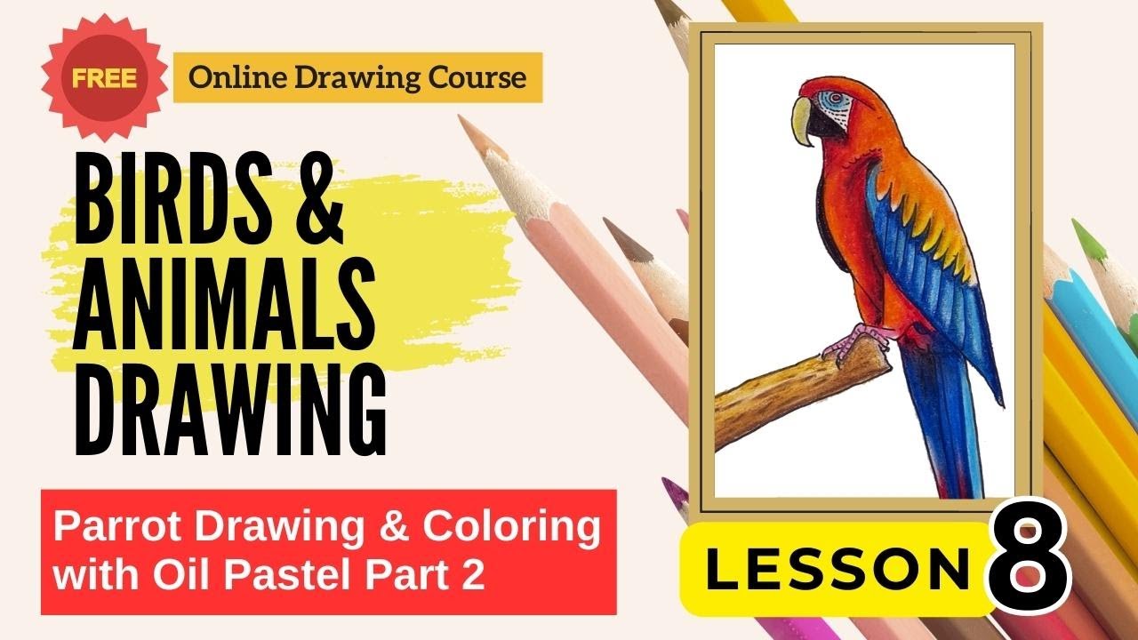 Drawing Class in Hindi | Lesson 8 | Part 2 Parrot Drawing & Coloring ...