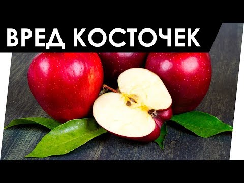 Вред яблочных косточек. От этого можно умереть!