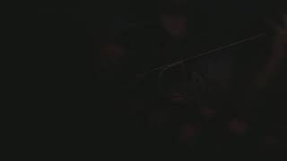 Ece Özbulut - Vazgeç Gönül Cover Ece Mumay